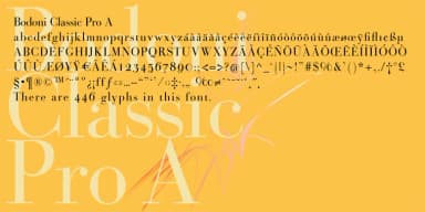 Bodoni Classic Pro by Wiescher-Design — Dingbats Font — thumbnail 1