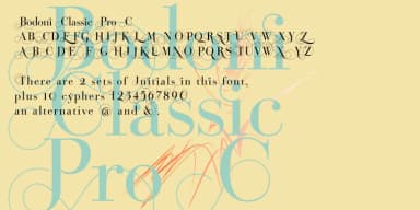 Bodoni Classic Pro by Wiescher-Design — Dingbats Font — thumbnail 3
