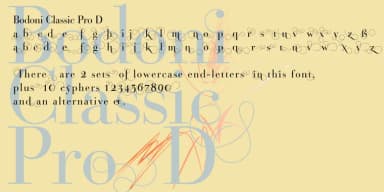 Bodoni Classic Pro by Wiescher-Design — Dingbats Font — thumbnail 4