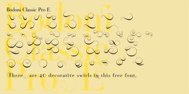 Bodoni Classic Pro by Wiescher-Design — Dingbats Font — thumbnail 5
