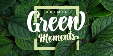Boemia by Pedro Teixeira — Script Handwritten Font — thumbnail 2