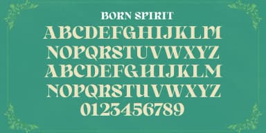 Born Spirit by Dora Typefoundry — Decorative Font — thumbnail 10