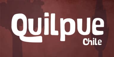 Bosque by Latinotype — Decorative Font — thumbnail 8