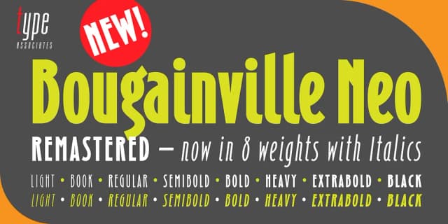 Bougainville Neo by Type Associates — Decorative Font