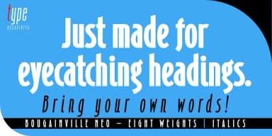 Bougainville Neo by Type Associates — Decorative Font — thumbnail 3