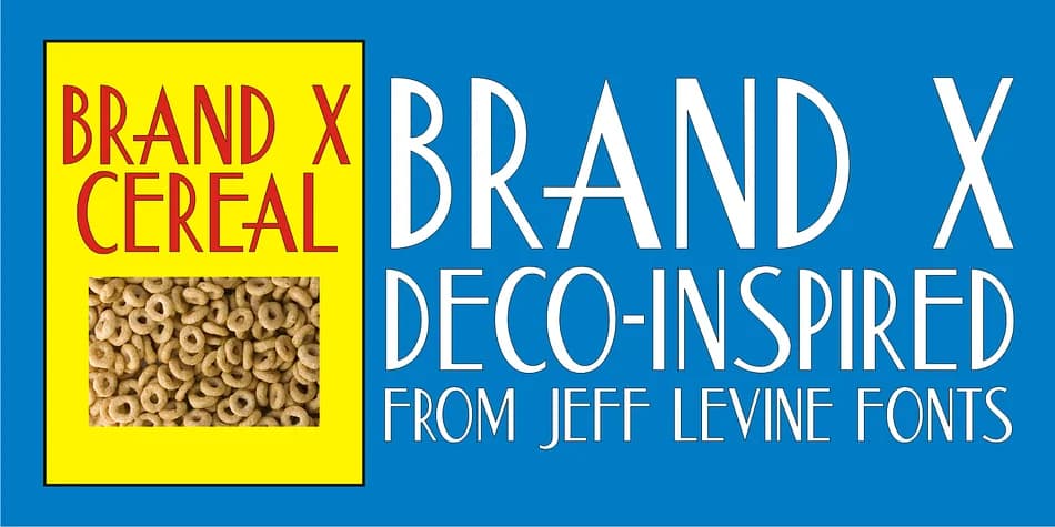 BRAND X JNL by Jeff Levine Fonts — Decorative Font
