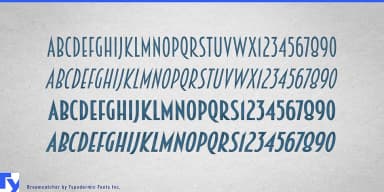 BREAMCATCHER by Typodermic Fonts Inc. — Decorative Font — thumbnail 3