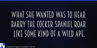 BREAMCATCHER by Typodermic Fonts Inc. — Decorative Font — thumbnail 4