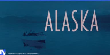 BREAMCATCHER by Typodermic Fonts Inc. — Decorative Font — thumbnail 7