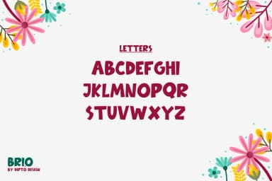 Brio by Dipto Design — Decorative Font — thumbnail 3