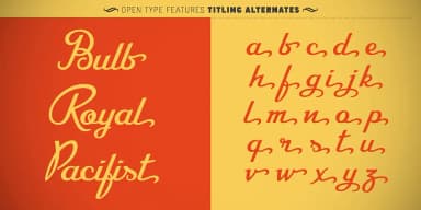 CA Recape by Cape Arcona Type Foundry — Script Handwritten Font — thumbnail 10