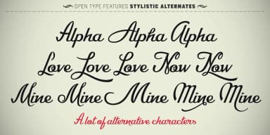 CA Recape by Cape Arcona Type Foundry — Script Handwritten Font — thumbnail 3