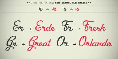 CA Recape by Cape Arcona Type Foundry — Script Handwritten Font — thumbnail 9