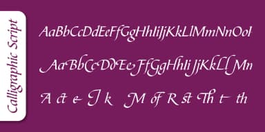 Calligraphic Script Pro by SoftMaker — Blackletter Font — thumbnail 3