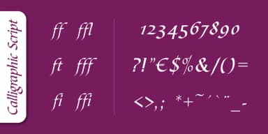 Calligraphic Script Pro by SoftMaker — Blackletter Font — thumbnail 4