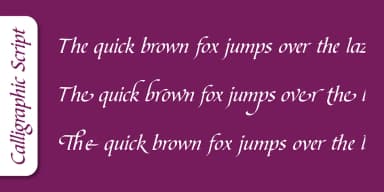 Calligraphic Script Pro by SoftMaker — Blackletter Font — thumbnail 5