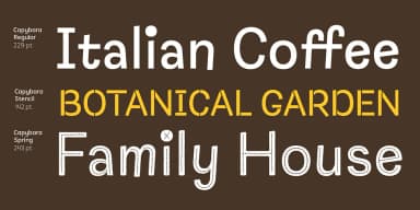 Capybara by Rodrigo Typo — Dingbats Font — thumbnail 3