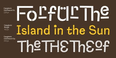 Capybara by Rodrigo Typo — Dingbats Font — thumbnail 7