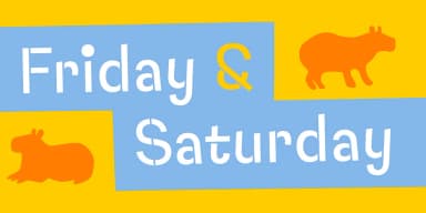 Capybara by Rodrigo Typo — Dingbats Font — thumbnail 8