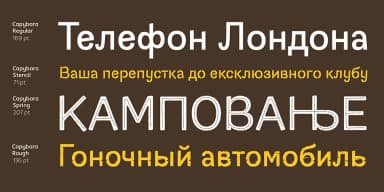 Capybara by Rodrigo Typo — Dingbats Font — thumbnail 9