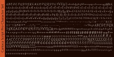 Carioca Script Pro by Stiggy & Sands — Dingbats Font — thumbnail 5