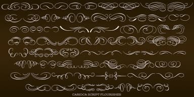 Carioca Script Pro by Stiggy & Sands — Dingbats Font — thumbnail 8