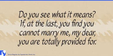 Caryn by Typodermic Fonts Inc. — Script Handwritten Font — thumbnail 3