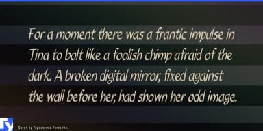 Caryn by Typodermic Fonts Inc. — Script Handwritten Font — thumbnail 4