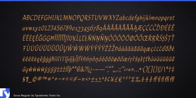 Caryn by Typodermic Fonts Inc. — Script Handwritten Font — thumbnail 5