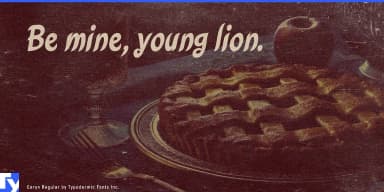 Caryn by Typodermic Fonts Inc. — Script Handwritten Font — thumbnail 7