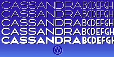 Cassandra Plus by Wiescher-Design — Decorative Font — thumbnail 6