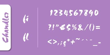 Chandler Pro by SoftMaker — Script Handwritten Font — thumbnail 3