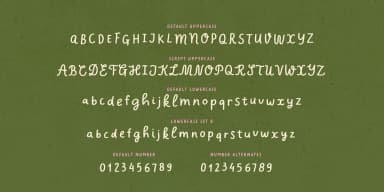 Charliney by type peace — Decorative Font — thumbnail 7