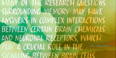 Chemical Memory by Kitchen Table Type Foundry — Display Font — thumbnail 2