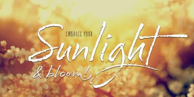 Cherry Blossoms by Positype — Script Handwritten Font — thumbnail 2