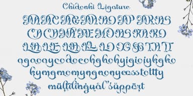 Chidonki by TypeClassHeroes — Decorative Font — thumbnail 9