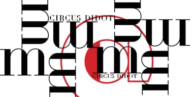 Circus Didot by ParaType — Decorative Font — thumbnail 6