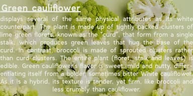 Clockwise by Ana's Fonts — Dingbats Font — thumbnail 10