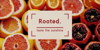 Clockwise by Ana's Fonts — Dingbats Font — thumbnail 3