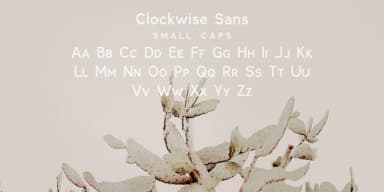 Clockwise by Ana's Fonts — Dingbats Font — thumbnail 8