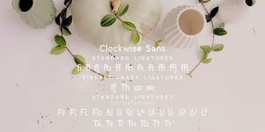 Clockwise by Ana's Fonts — Dingbats Font — thumbnail 9