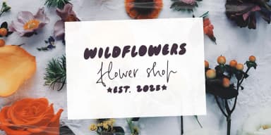 Cloudbusting by Ana's Fonts — Decorative Font — thumbnail 7