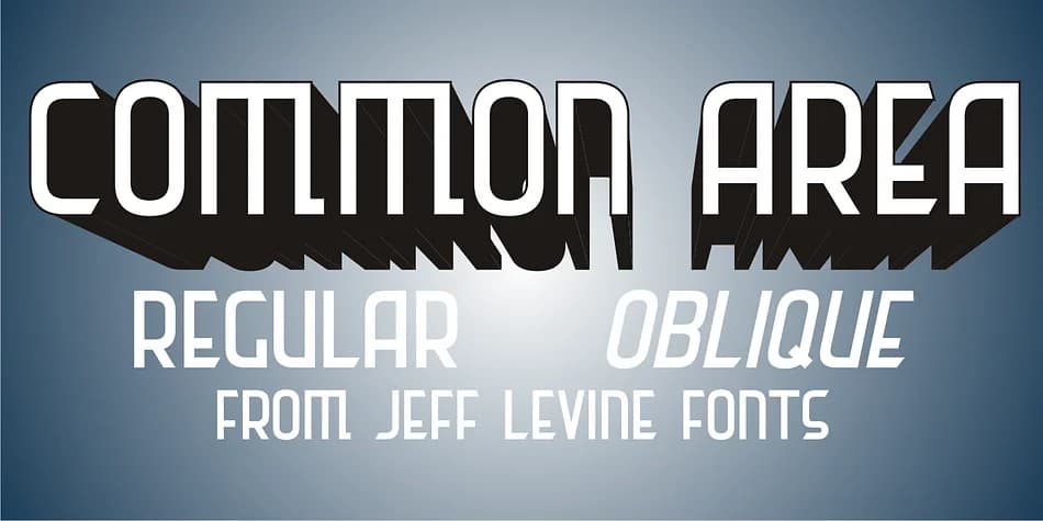 COMMON AREA JNL by Jeff Levine Fonts — Decorative Font