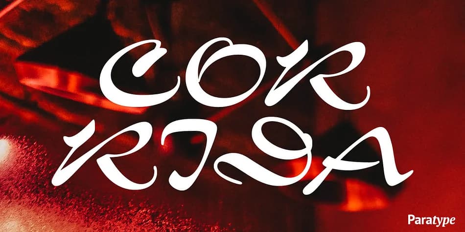 Corrida by ParaType — Script Handwritten Font