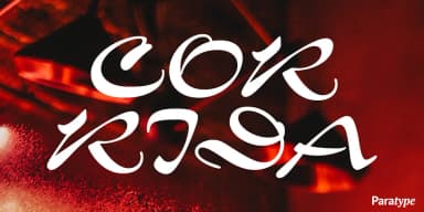 Corrida by ParaType — Script Handwritten Font — thumbnail 1