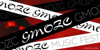 Corrida by ParaType — Script Handwritten Font — thumbnail 3