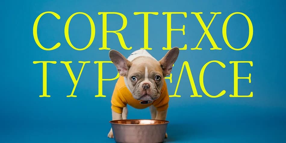 Cortexo by Foxtype — Display Font