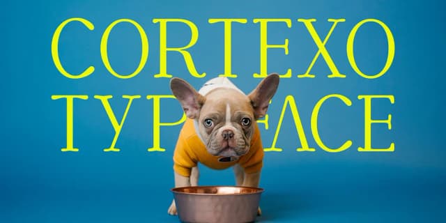 Cortexo by Foxtype — Display Font