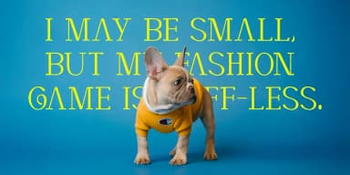 Cortexo by Foxtype — Display Font — thumbnail 2