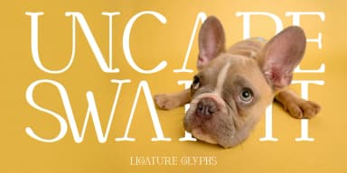 Cortexo by Foxtype — Display Font — thumbnail 4